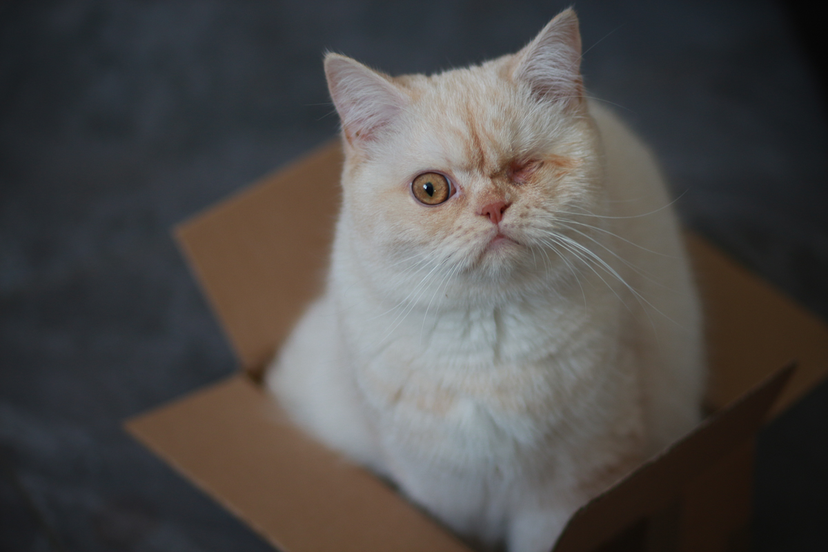 Nazwa:  IMG_5241-2.jpg
Wyświetleń: 159
Rozmiar:  486,2 KB