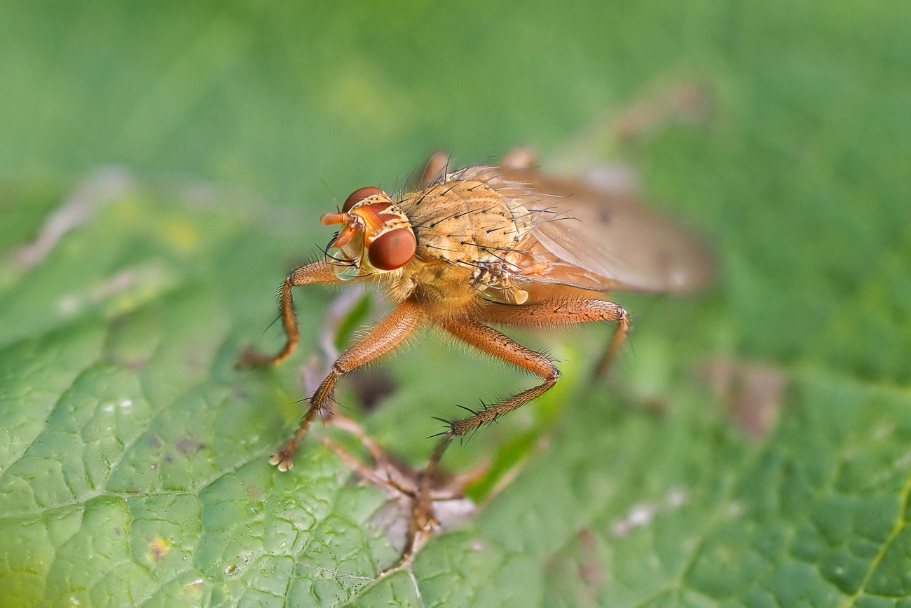 Nazwa:  P1010117.jpg
Wyświetleń: 228
Rozmiar:  910,5 KB