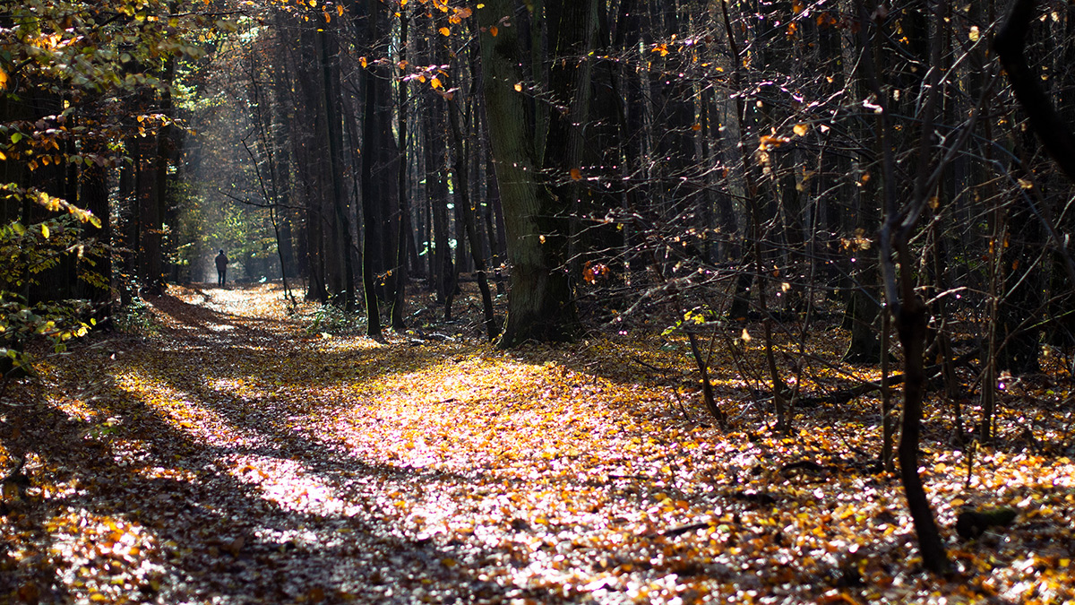 Nazwa:  PB050566.jpg
Wyświetleń: 152
Rozmiar:  603,3 KB