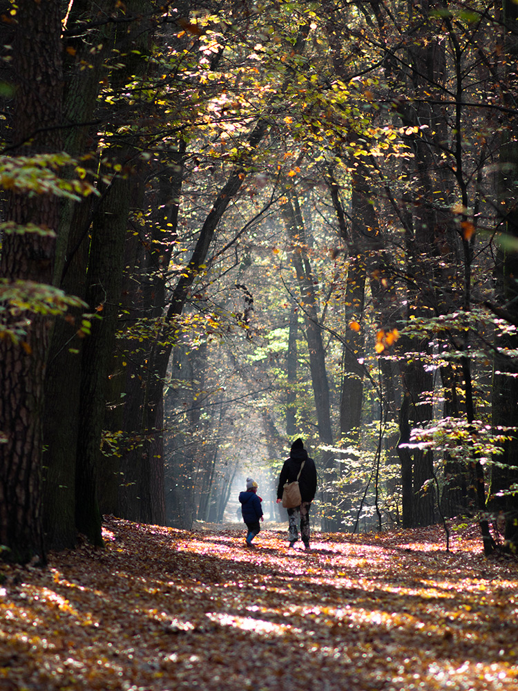 Nazwa:  PB050528.jpg
Wyświetleń: 133
Rozmiar:  517,8 KB