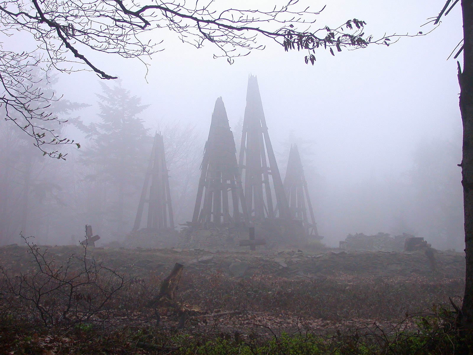 Nazwa:  DSC14450f.jpg
Wyświetleń: 235
Rozmiar:  471,0 KB