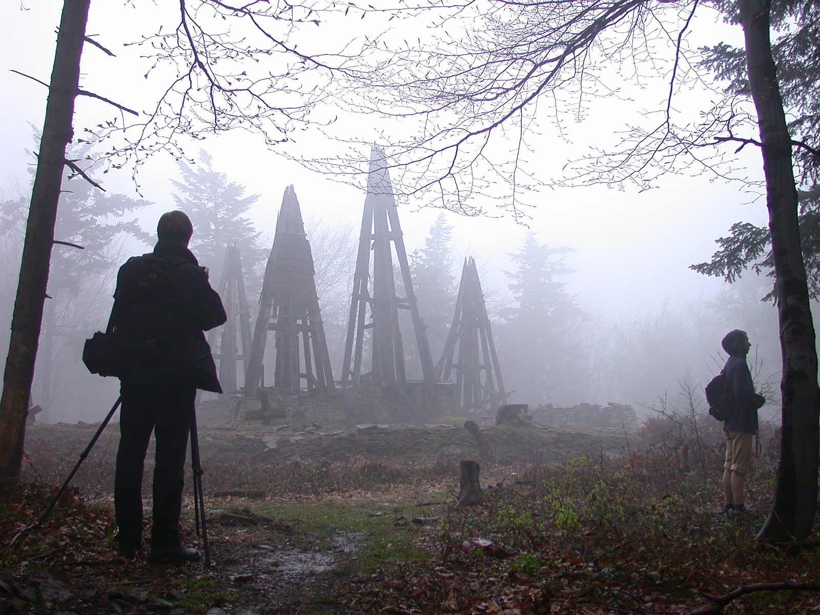 Nazwa:  DSC14449f.jpg
Wyświetleń: 239
Rozmiar:  541,6 KB