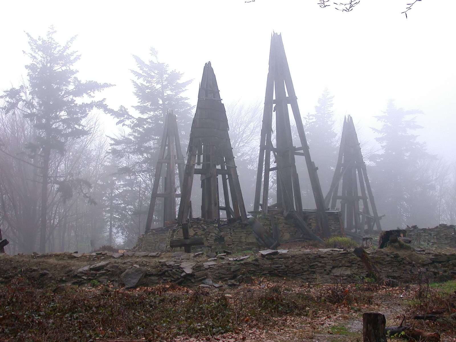 Nazwa:  DSC14445f.jpg
Wyświetleń: 242
Rozmiar:  401,0 KB