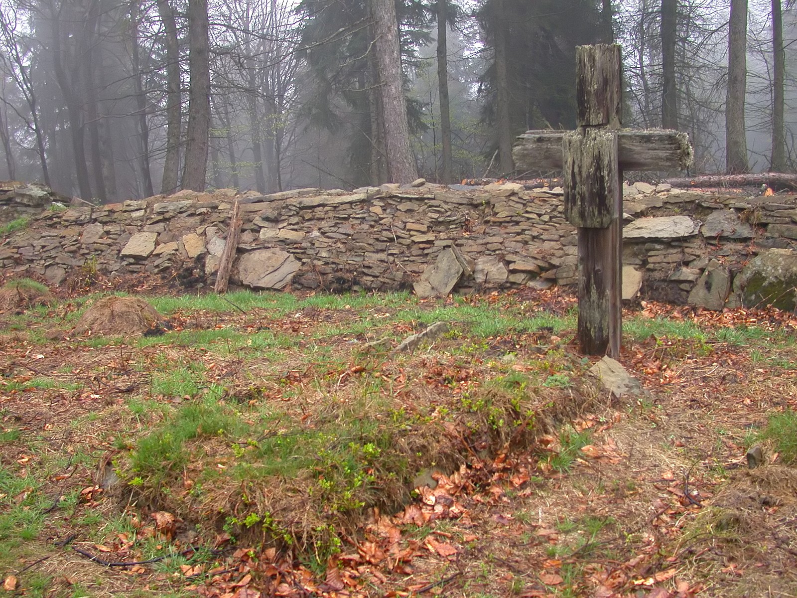 Nazwa:  DSC14454f.jpg
Wyświetleń: 224
Rozmiar:  745,5 KB