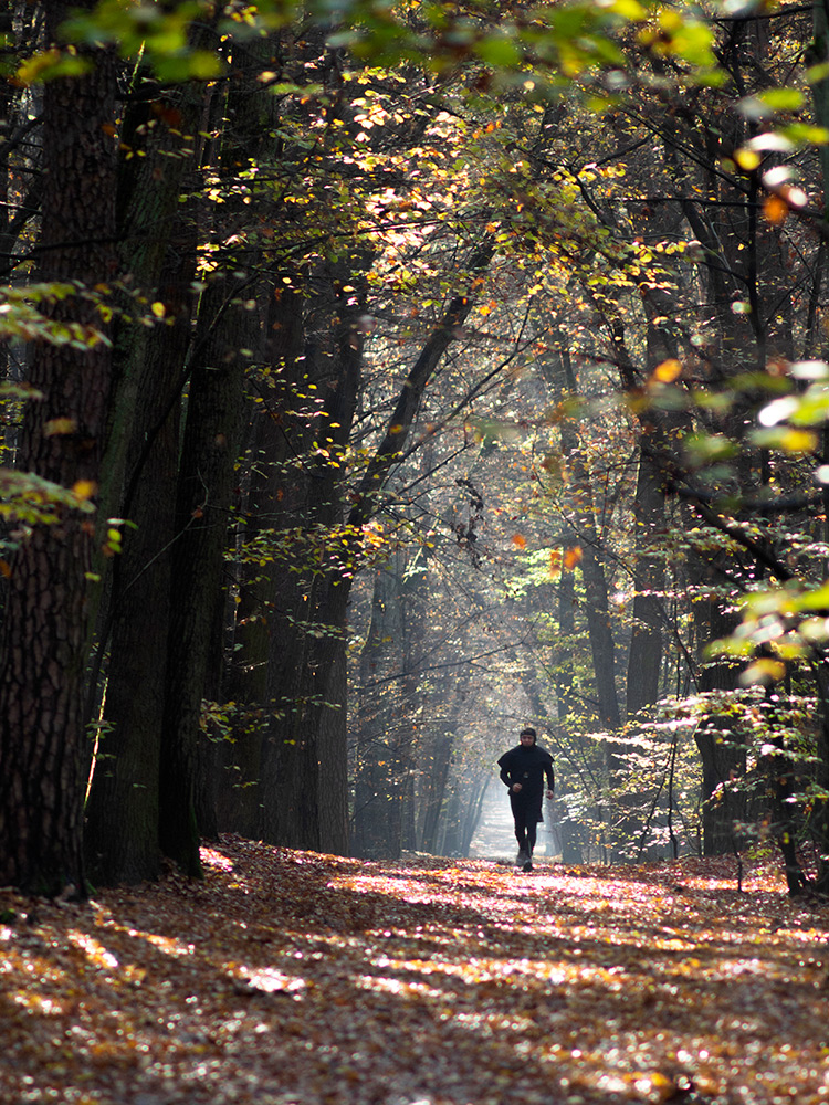 Nazwa:  PB050525.jpg
Wyświetleń: 117
Rozmiar:  482,6 KB