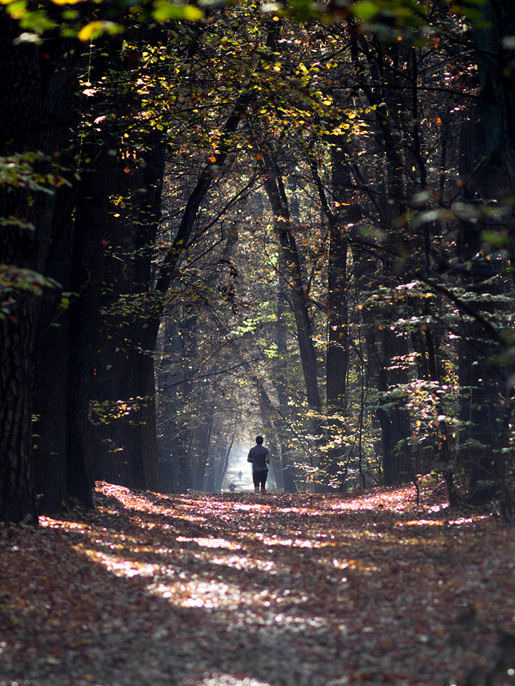 Nazwa:  PB050554.jpg
Wyświetleń: 129
Rozmiar:  427,1 KB