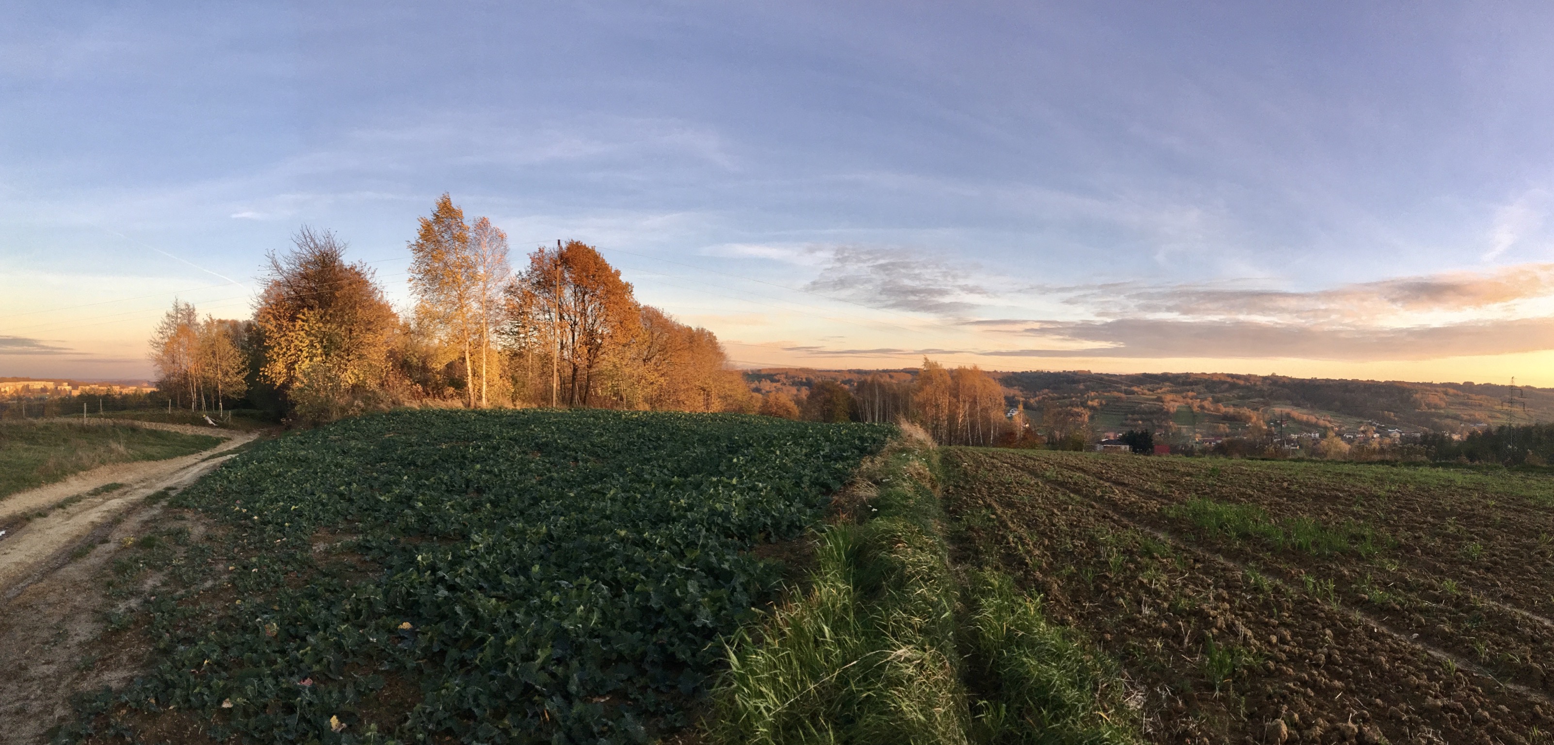Nazwa:  F6B21DB0-6168-4CDD-BD43-519DB4B2E08F.jpeg
Wyświetleń: 172
Rozmiar:  1,23 MB