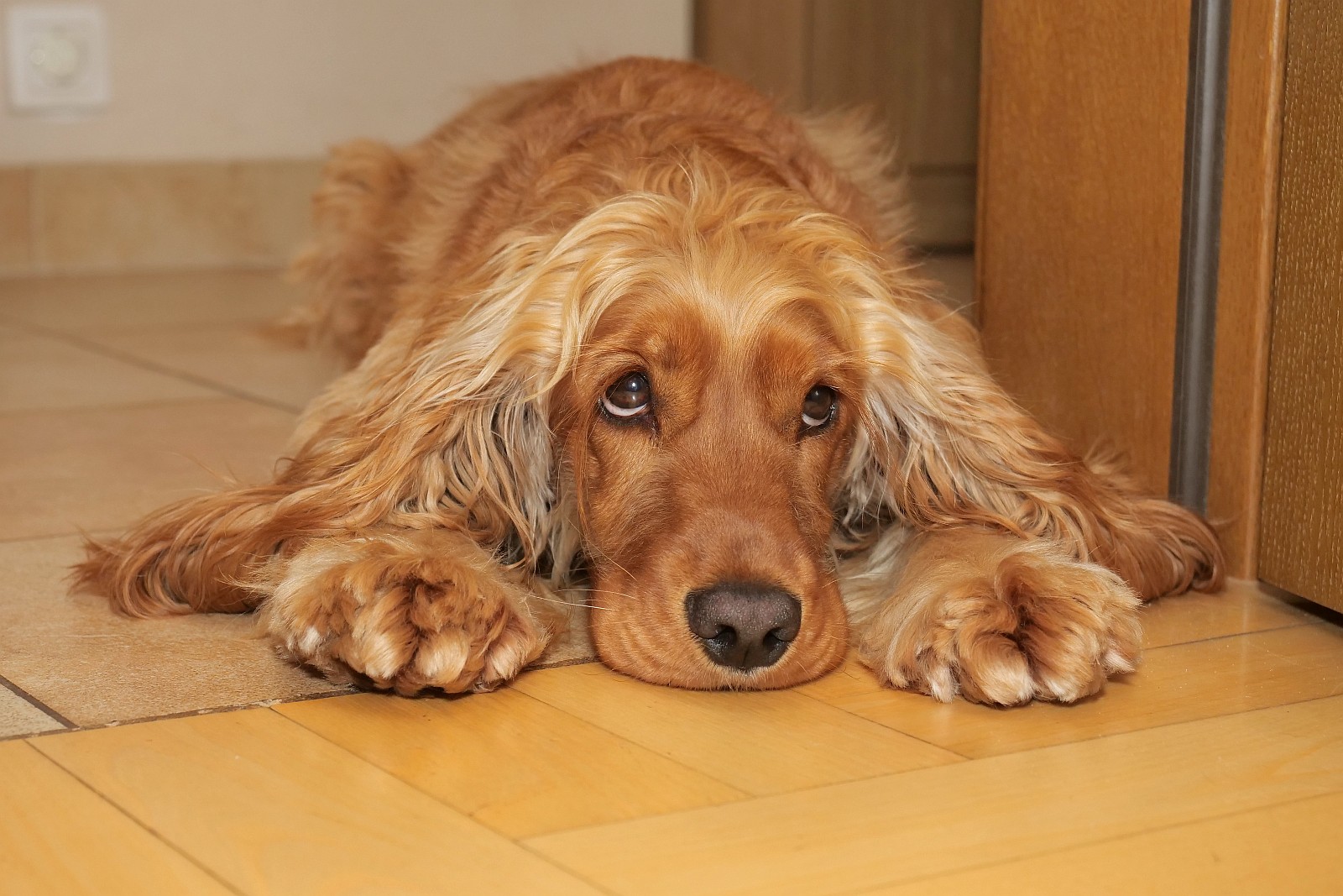 Nazwa:  Figa75439d.jpg
Wyświetleń: 171
Rozmiar:  341,4 KB