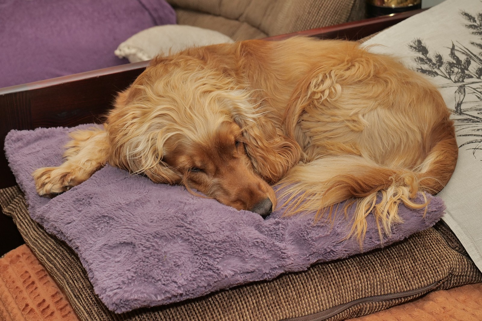 Nazwa:  Figa75435d.jpg
Wyświetleń: 162
Rozmiar:  528,6 KB