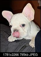 Kliknij obrazek, aby uzyskać większą wersję

Nazwa:	IMG_20201121_192454.jpg
Wyświetleń:	44
Rozmiar:	794,9 KB
ID:	228061