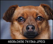 Kliknij obrazek, aby uzyskać większą wersję

Nazwa:	P1220012.JPG
Wyświetleń:	35
Rozmiar:	7,24 MB
ID:	228063