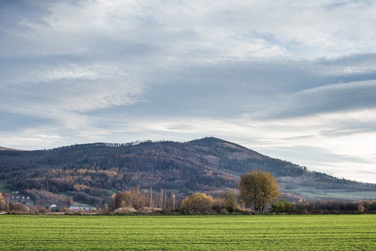 Nazwa:  Of-472.jpg
Wyświetleń: 332
Rozmiar:  1,13 MB