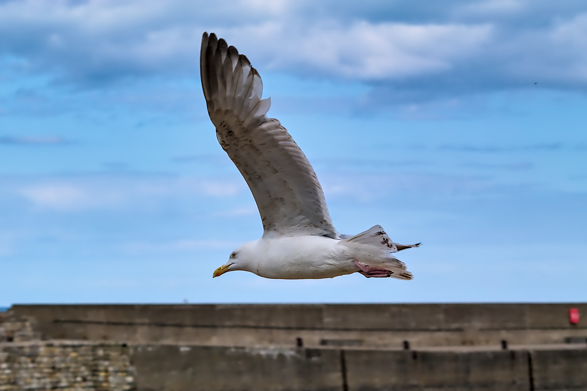 Nazwa:  p6204346.jpg
Wyświetleń: 329
Rozmiar:  889,2 KB