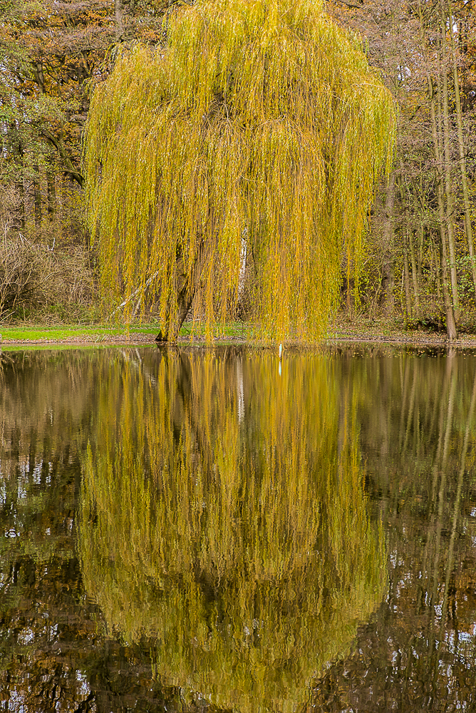 Nazwa:  Of-477.jpg
Wyświetleń: 295
Rozmiar:  1,21 MB