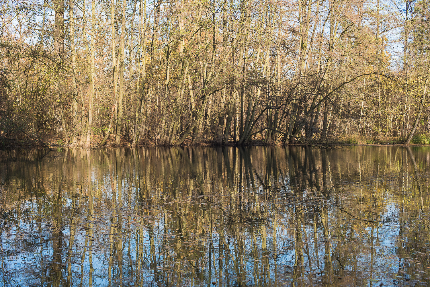 Nazwa:  Of-480.jpg
Wyświetleń: 485
Rozmiar:  2,66 MB
