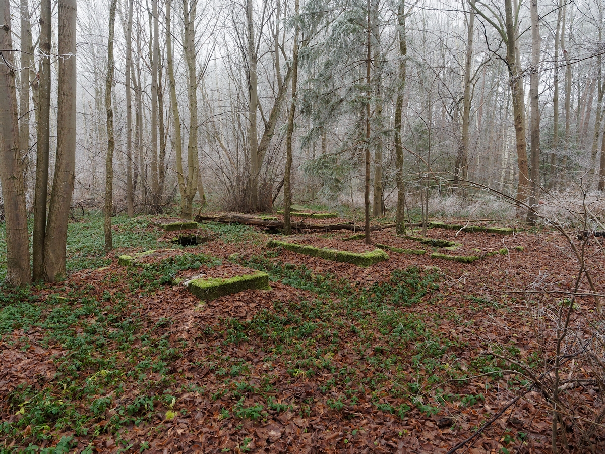 Nazwa:  P1010095_DxO_hf.jpg
Wyświetleń: 87
Rozmiar:  1,39 MB