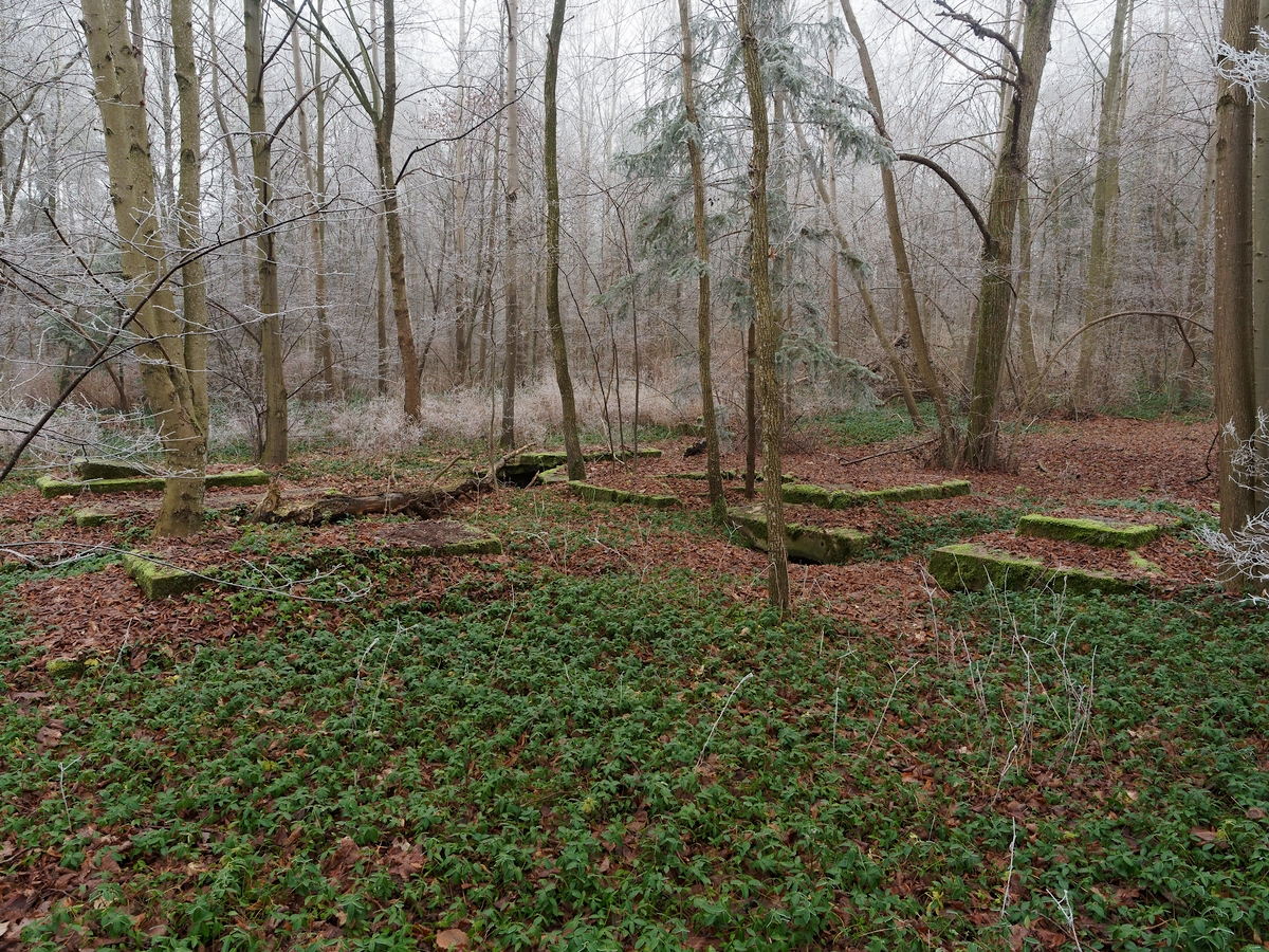 Nazwa:  P1010098_DxO_hf.jpg
Wyświetleń: 88
Rozmiar:  1,39 MB