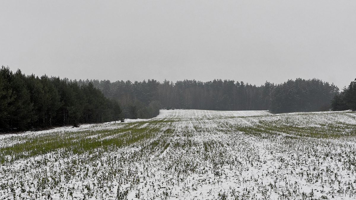 Nazwa:  mgła.jpg
Wyświetleń: 336
Rozmiar:  752,5 KB