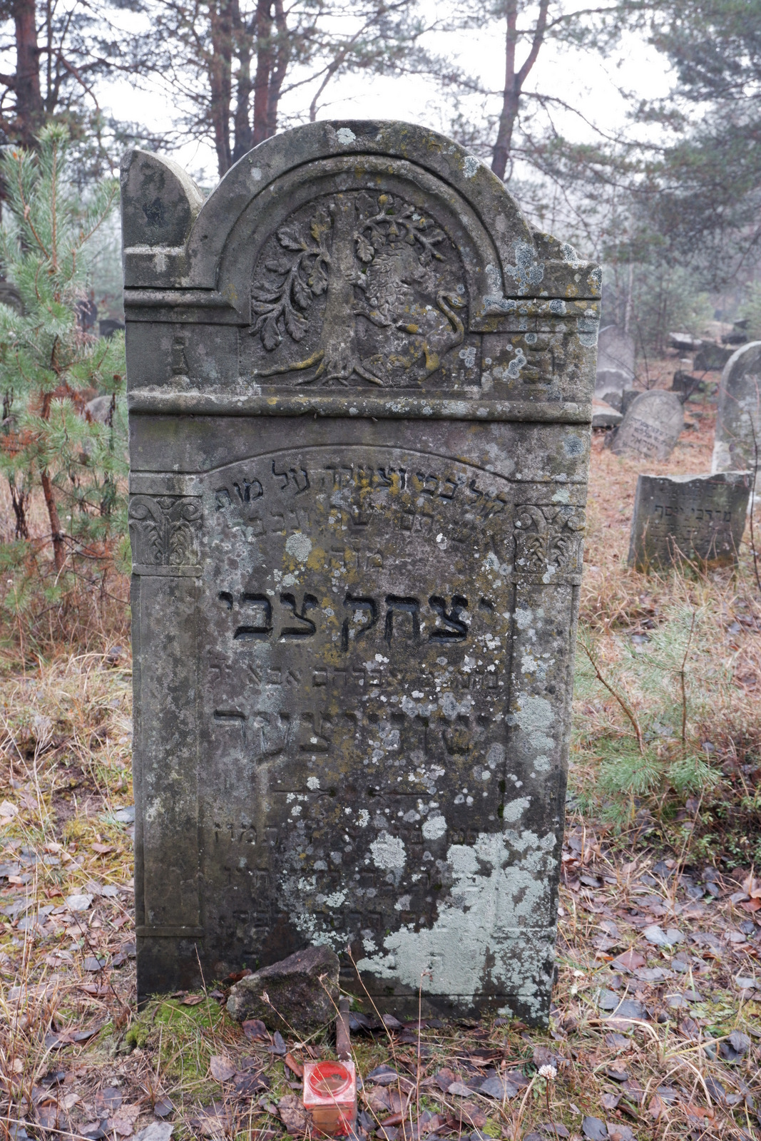 Kliknij obrazek, aby uzyskać większą wersję

Nazwa:	DSCF4005.JPG
Wyświetleń:	264
Rozmiar:	894,1 KB
ID:	229348