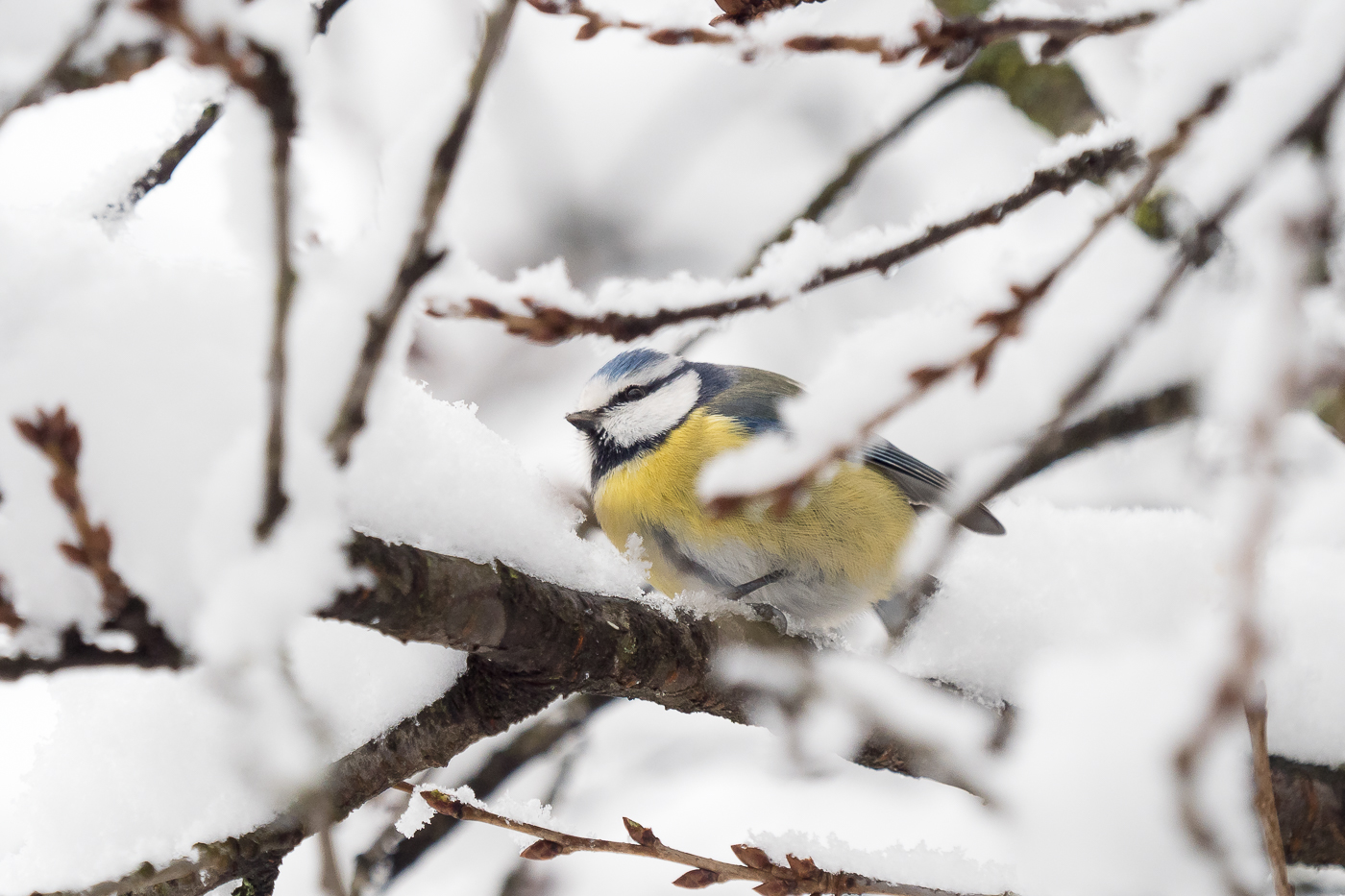 Nazwa:  P1090041.jpg
Wyświetleń: 216
Rozmiar:  704,0 KB