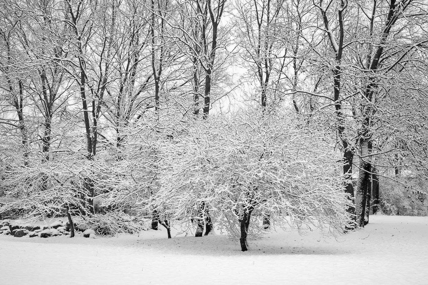 Nazwa:  P1010011-2.jpg
Wyświetleń: 231
Rozmiar:  1,15 MB