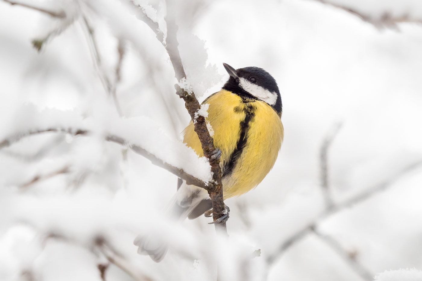 Nazwa:  P1090045.jpg
Wyświetleń: 209
Rozmiar:  543,3 KB