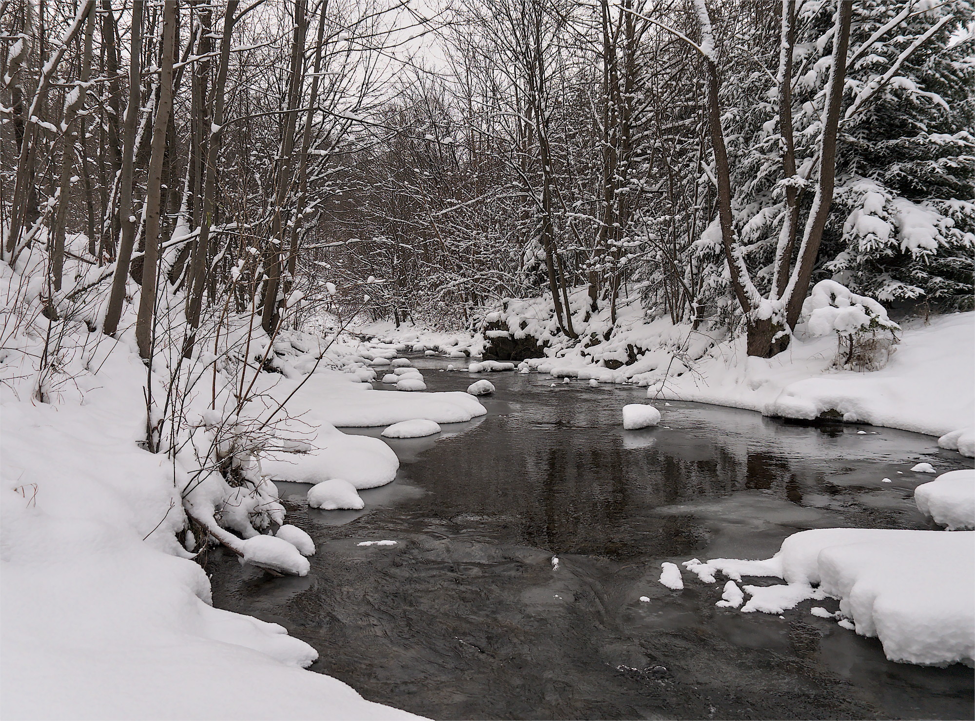 Nazwa:  P1046337.jpg
Wyświetleń: 237
Rozmiar:  1,30 MB