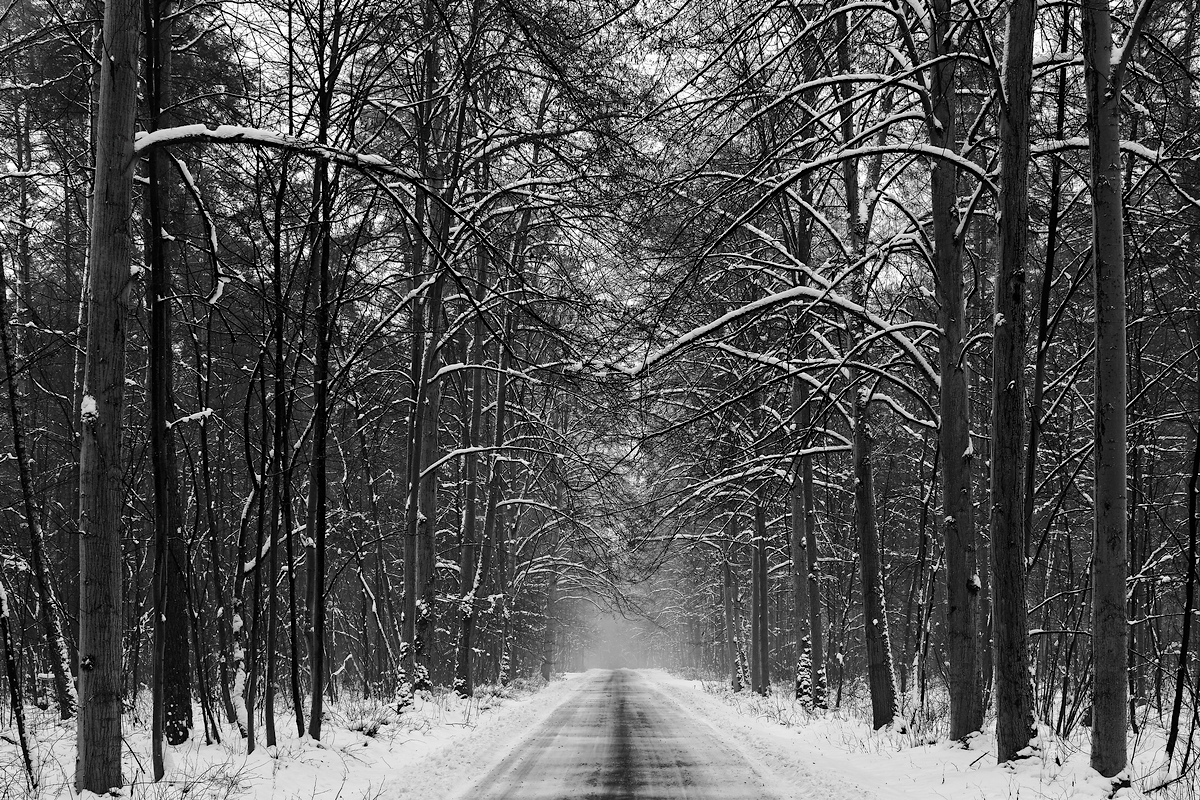 Nazwa:  zima.jpg
Wyświetleń: 237
Rozmiar:  1,11 MB