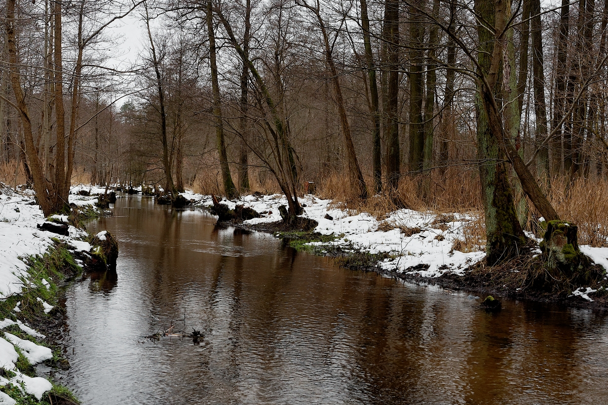 Nazwa:  krajobraz.jpg
Wyświetleń: 192
Rozmiar:  1,18 MB