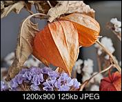 Kliknij obrazek, aby uzyskać większą wersję

Nazwa:	1.jpg
Wyświetleń:	83
Rozmiar:	125,2 KB
ID:	230086