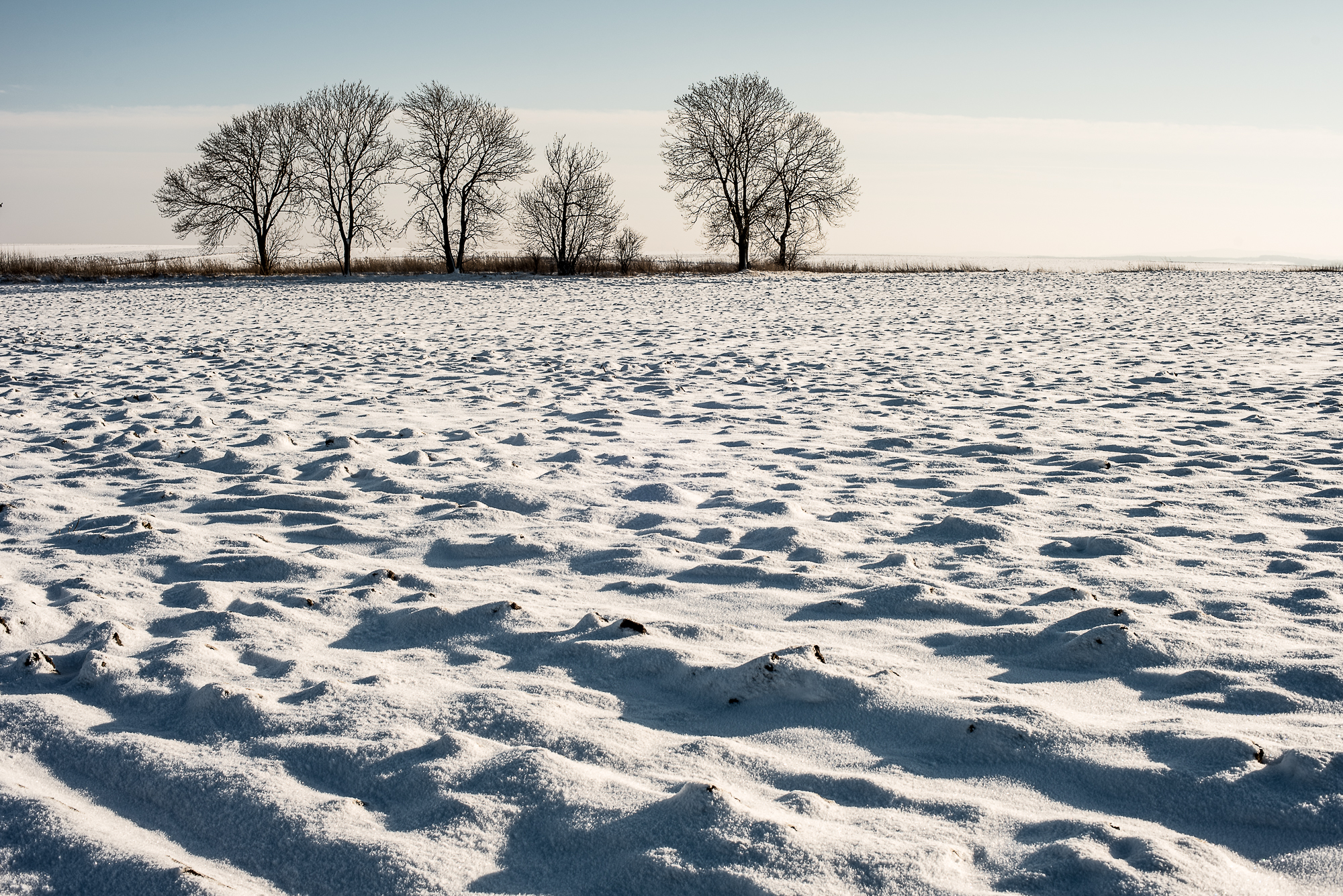 Nazwa:  Of-494.jpg
Wyświetleń: 340
Rozmiar:  2,64 MB