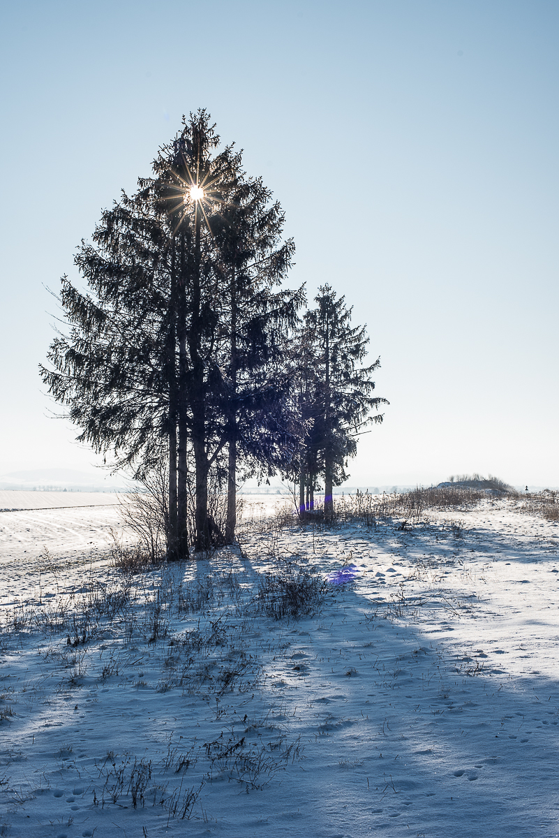 Nazwa:  Of-495.jpg
Wyświetleń: 185
Rozmiar:  964,7 KB