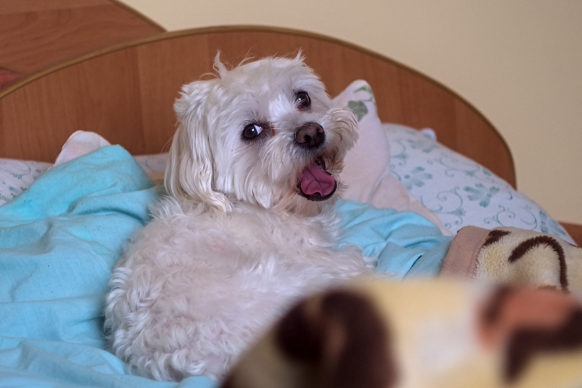 Nazwa:  P1046545.jpg
Wyświetleń: 105
Rozmiar:  1,26 MB