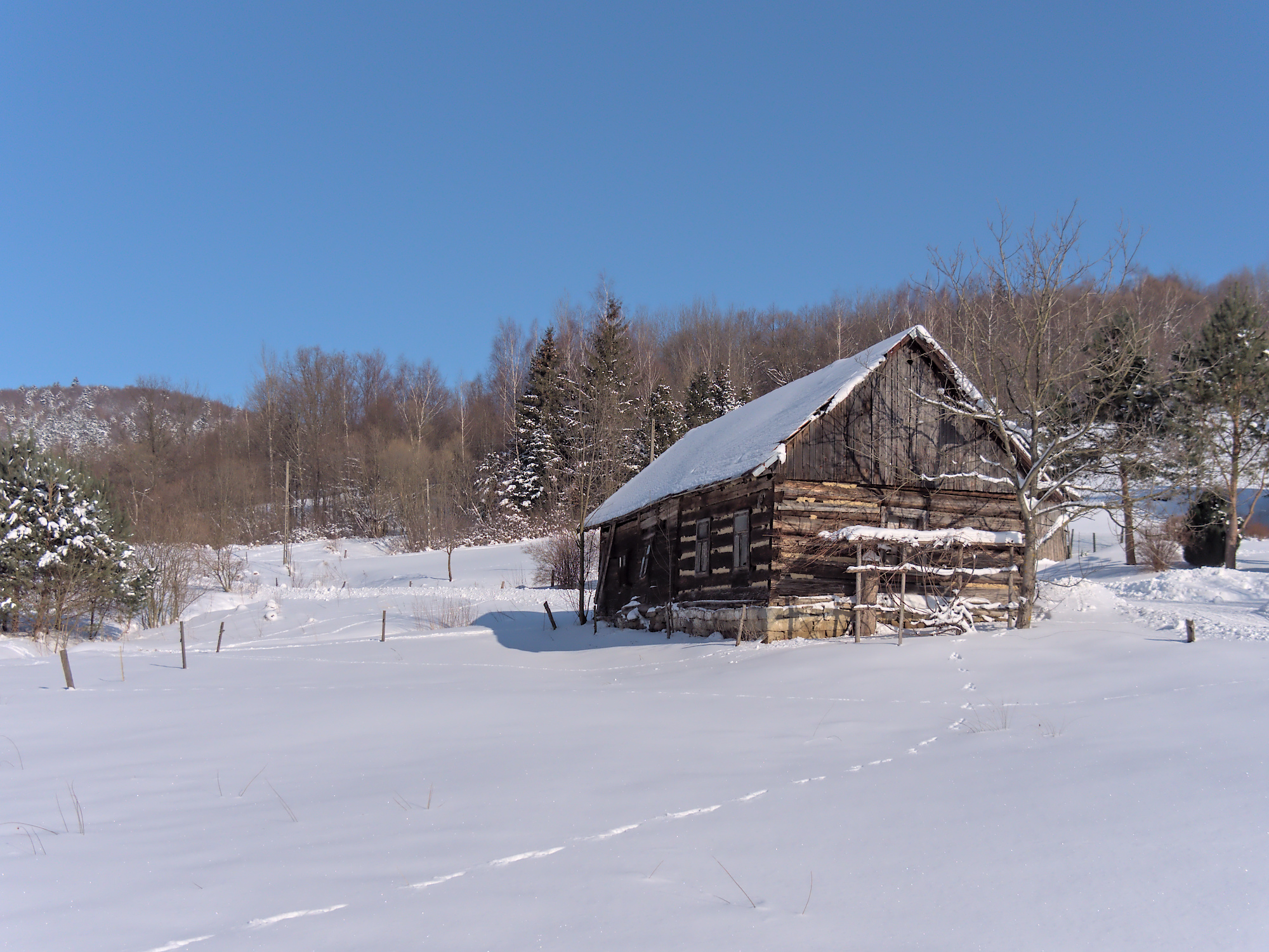 Nazwa:  P1046616.jpg
Wyświetleń: 175
Rozmiar:  1,31 MB