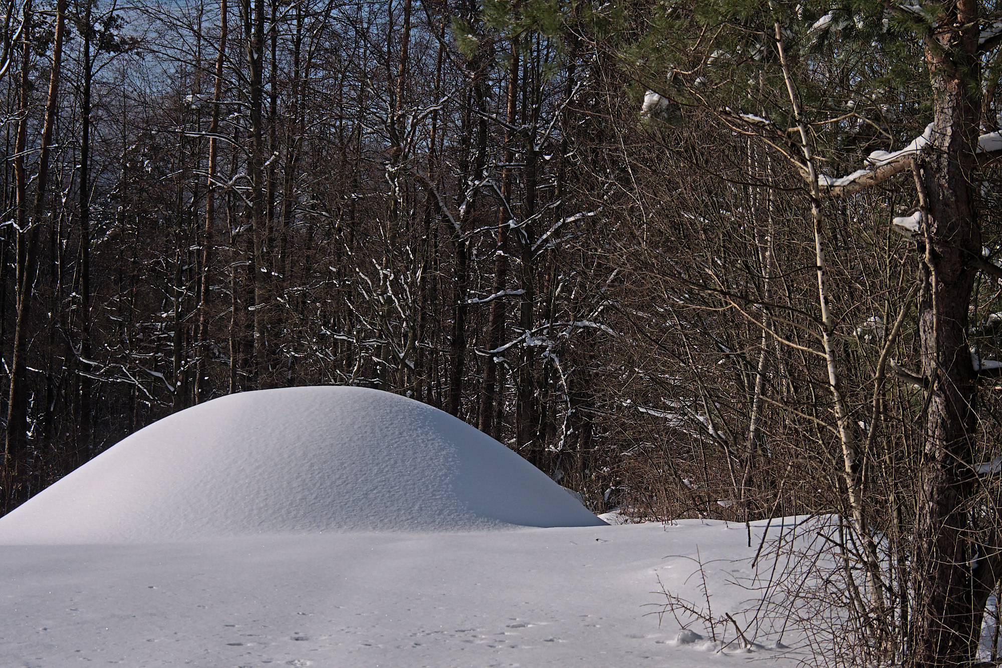 Nazwa:  P1046627.jpg
Wyświetleń: 170
Rozmiar:  1,29 MB