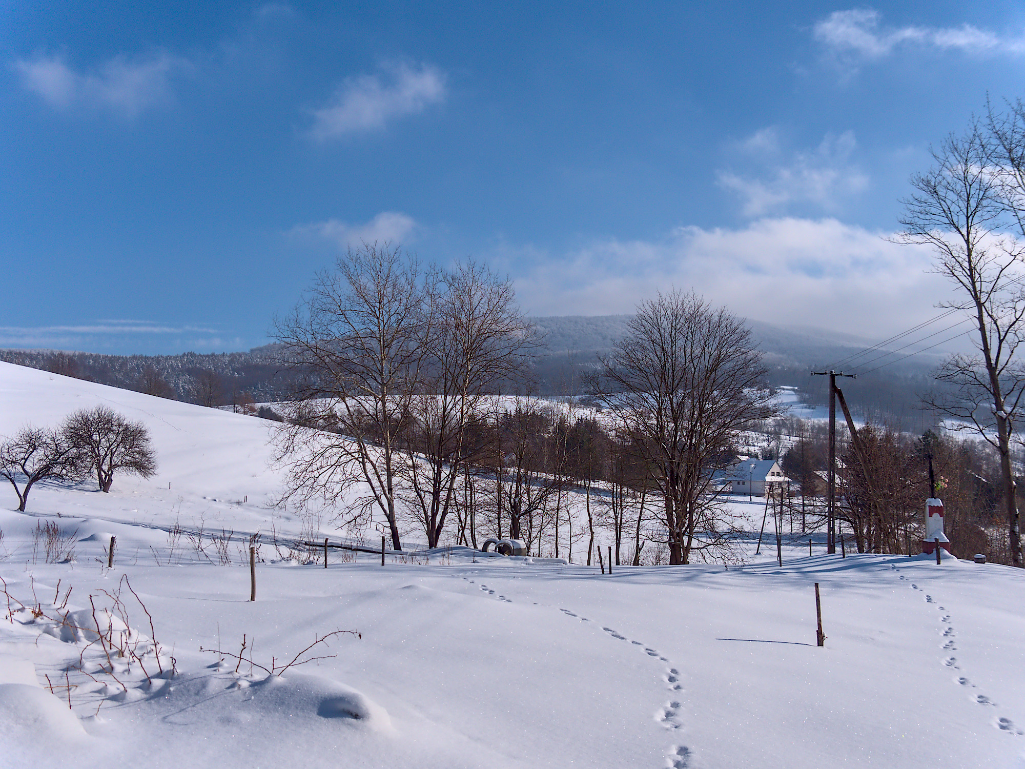 Nazwa:  P1046630.jpg
Wyświetleń: 159
Rozmiar:  1,20 MB