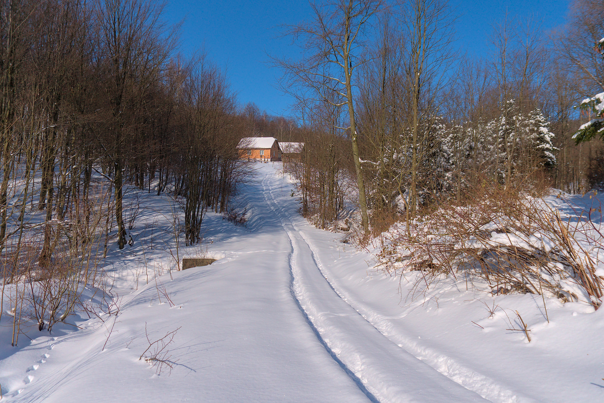 Nazwa:  P1046610.jpg
Wyświetleń: 156
Rozmiar:  1,38 MB