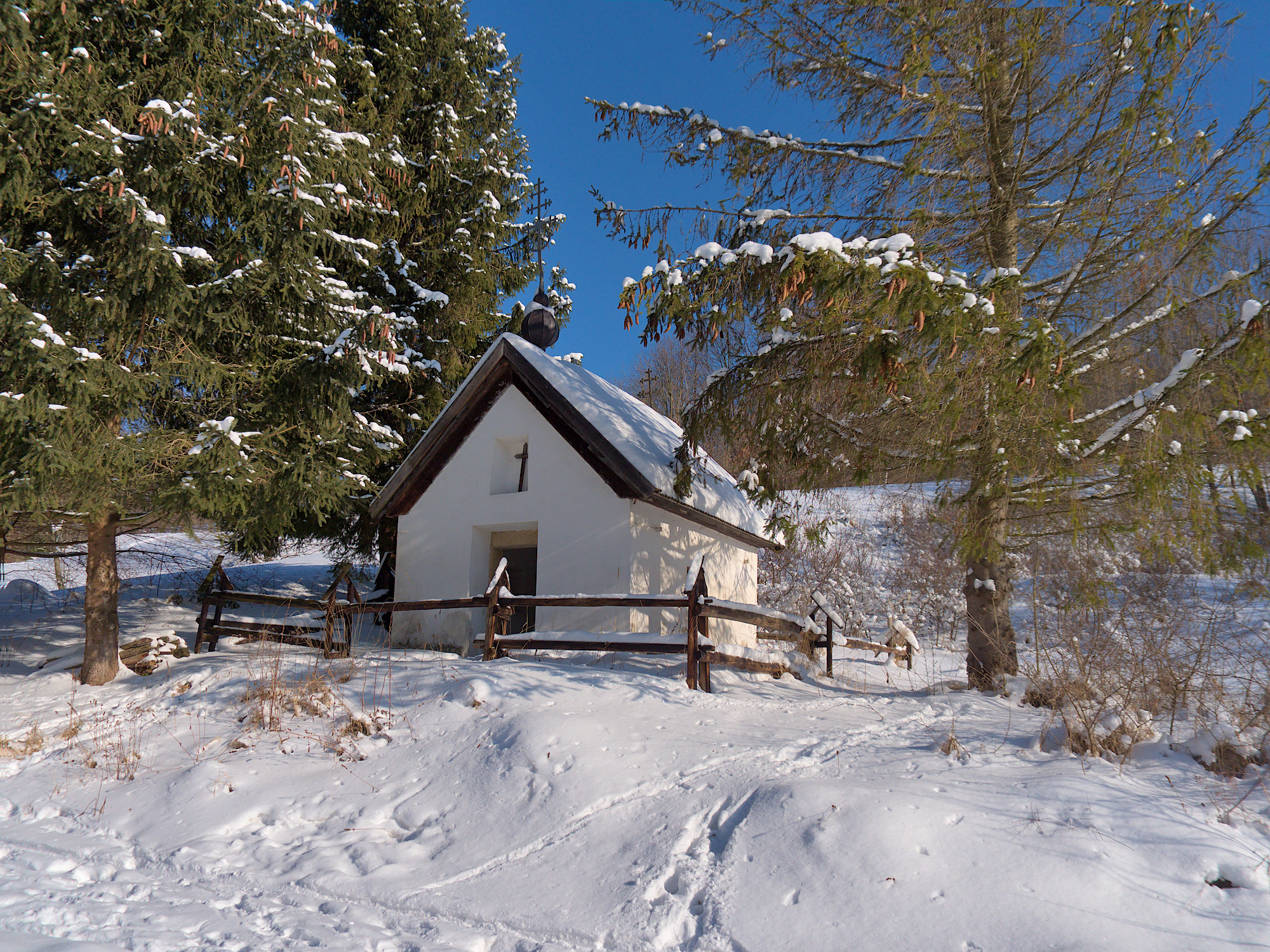 Nazwa:  P1046609.jpg
Wyświetleń: 148
Rozmiar:  1,41 MB