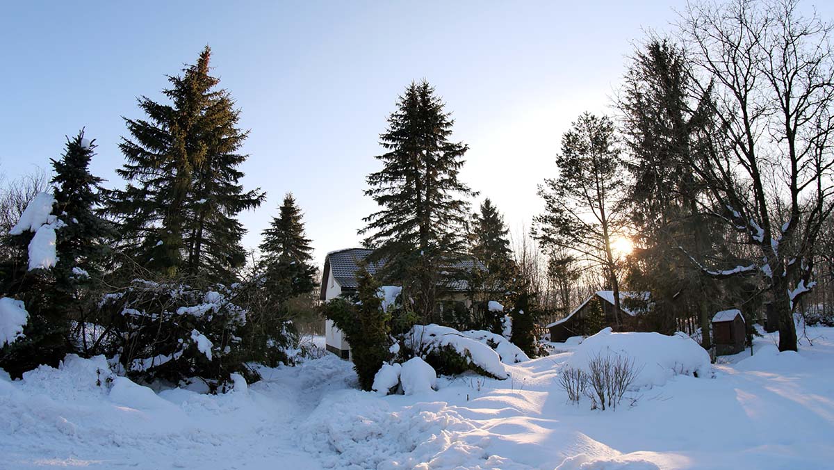 Nazwa:  1A.jpg
Wyświetleń: 144
Rozmiar:  193,0 KB