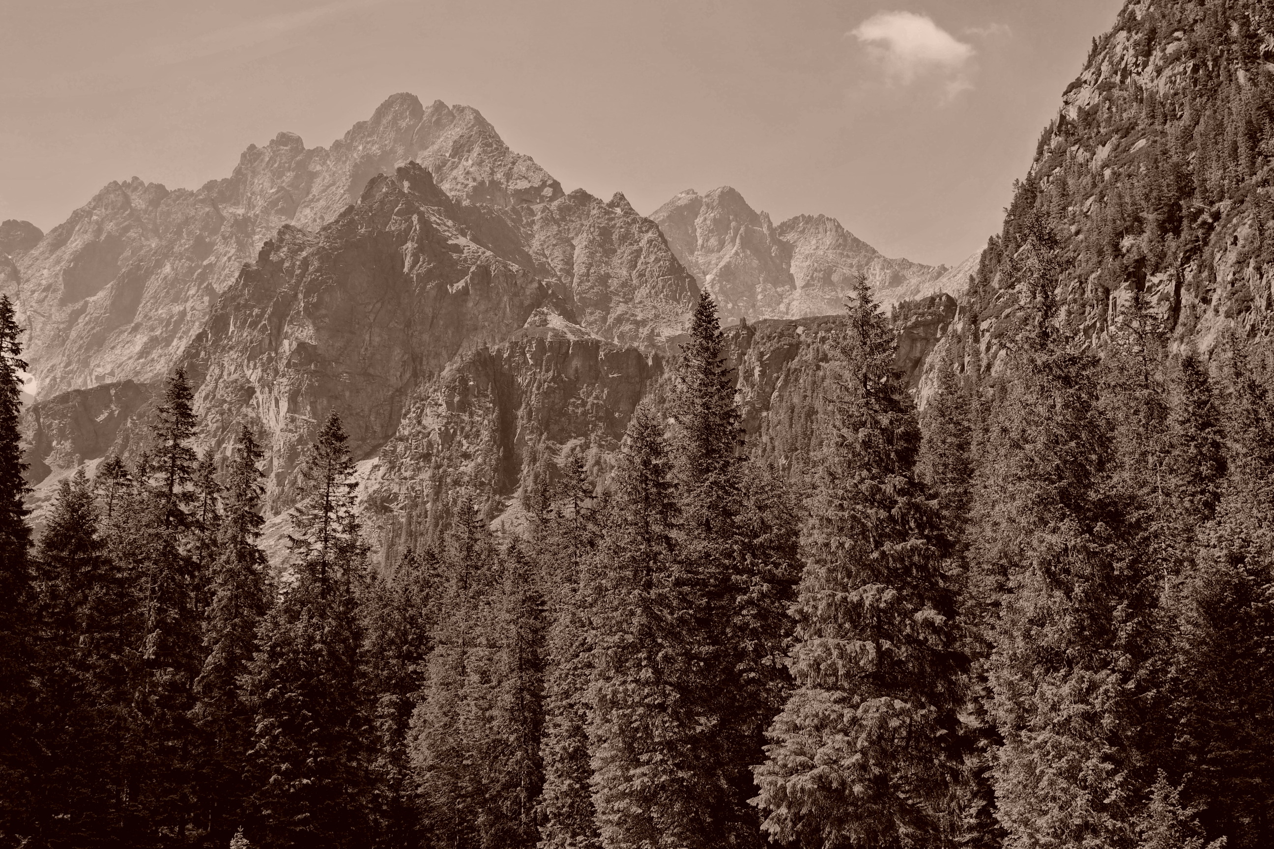 Nazwa:  2015_07_05_09_sepia.jpg
Wyświetleń: 1044
Rozmiar:  1,77 MB