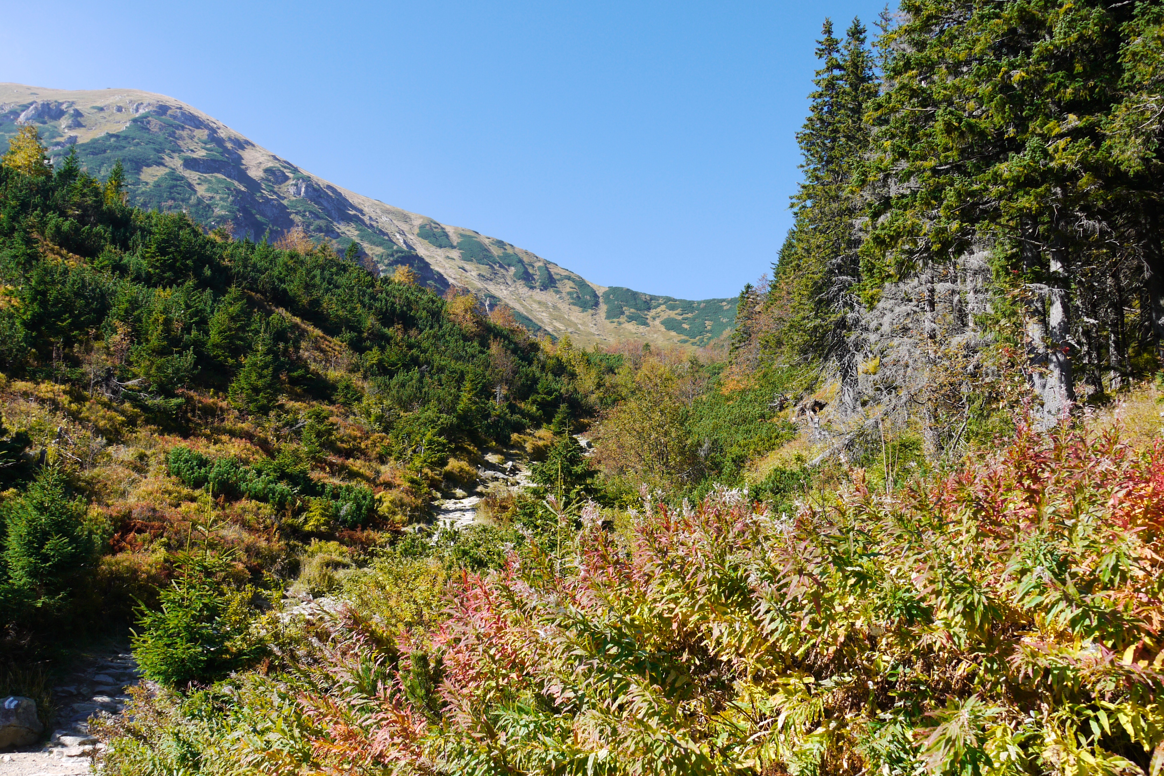 Nazwa:  713.jpg
Wyświetleń: 1122
Rozmiar:  4,95 MB