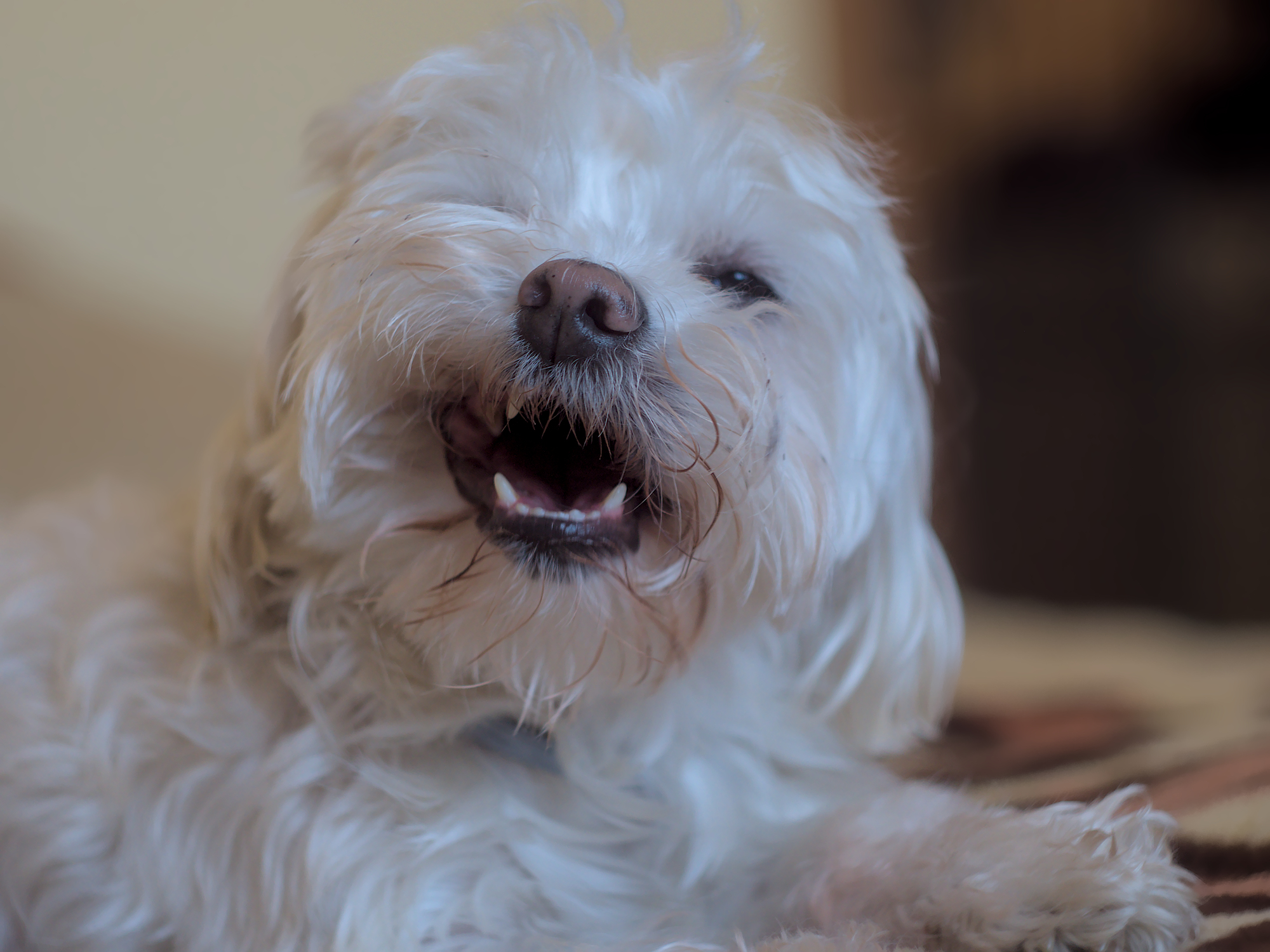 Nazwa:  P1046791.jpg
Wyświetleń: 118
Rozmiar:  1,33 MB