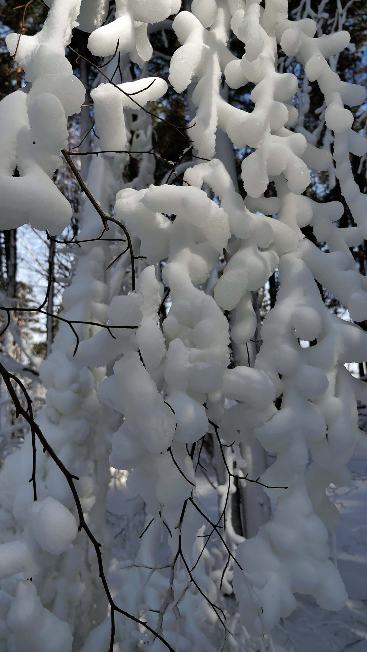 Nazwa:  13.JPG
Wyświetleń: 128
Rozmiar:  186,5 KB