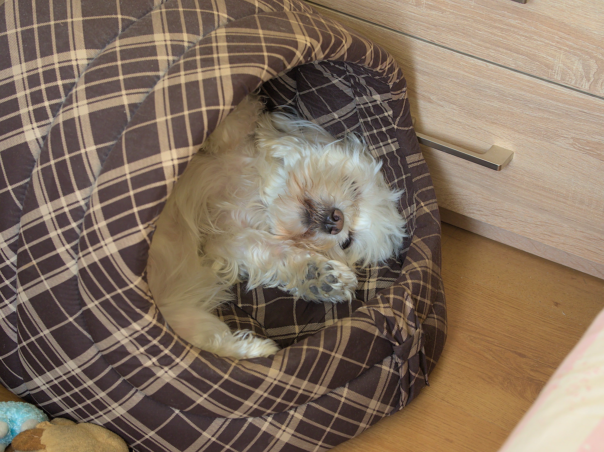 Nazwa:  P3110127.jpg
Wyświetleń: 103
Rozmiar:  1,16 MB