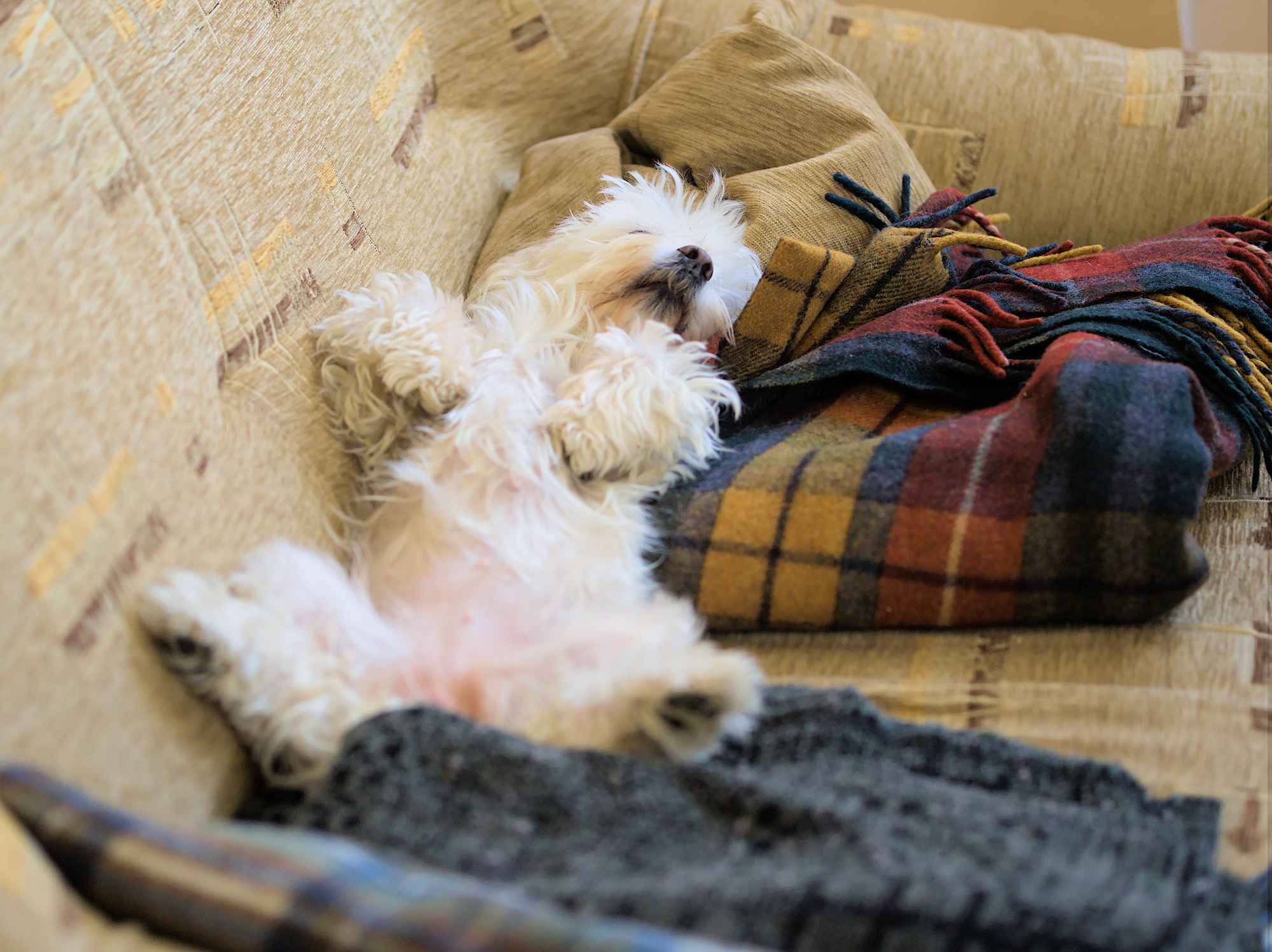 Nazwa:  P3130136.jpg
Wyświetleń: 91
Rozmiar:  1,06 MB