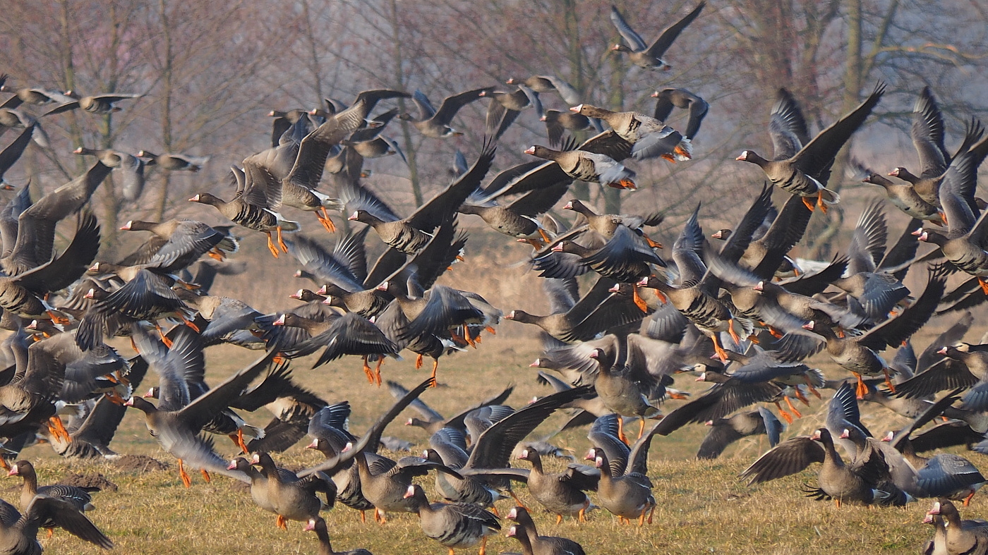 Nazwa:  P3270370_2.jpg
Wyświetleń: 275
Rozmiar:  770,4 KB