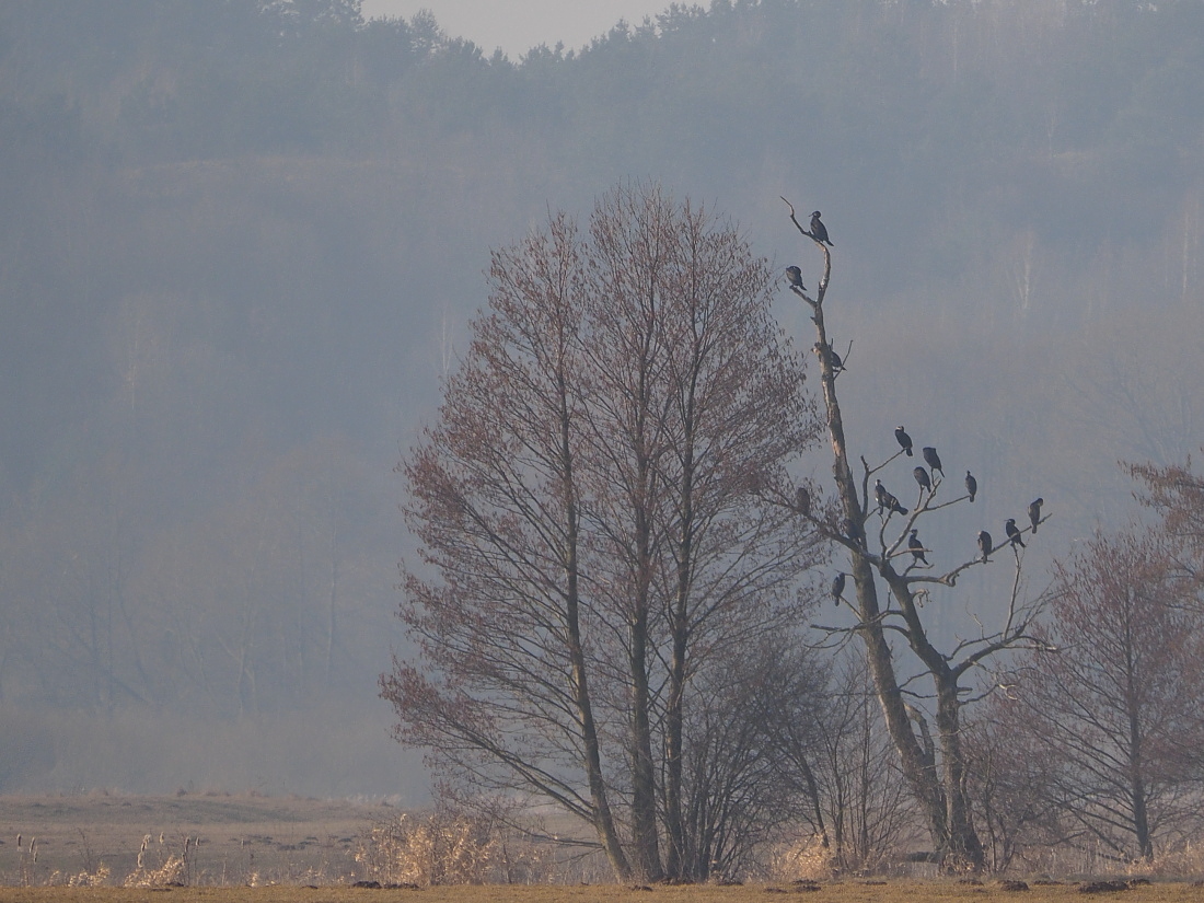 Nazwa:  P3270356_1.jpg
Wyświetleń: 256
Rozmiar:  423,8 KB