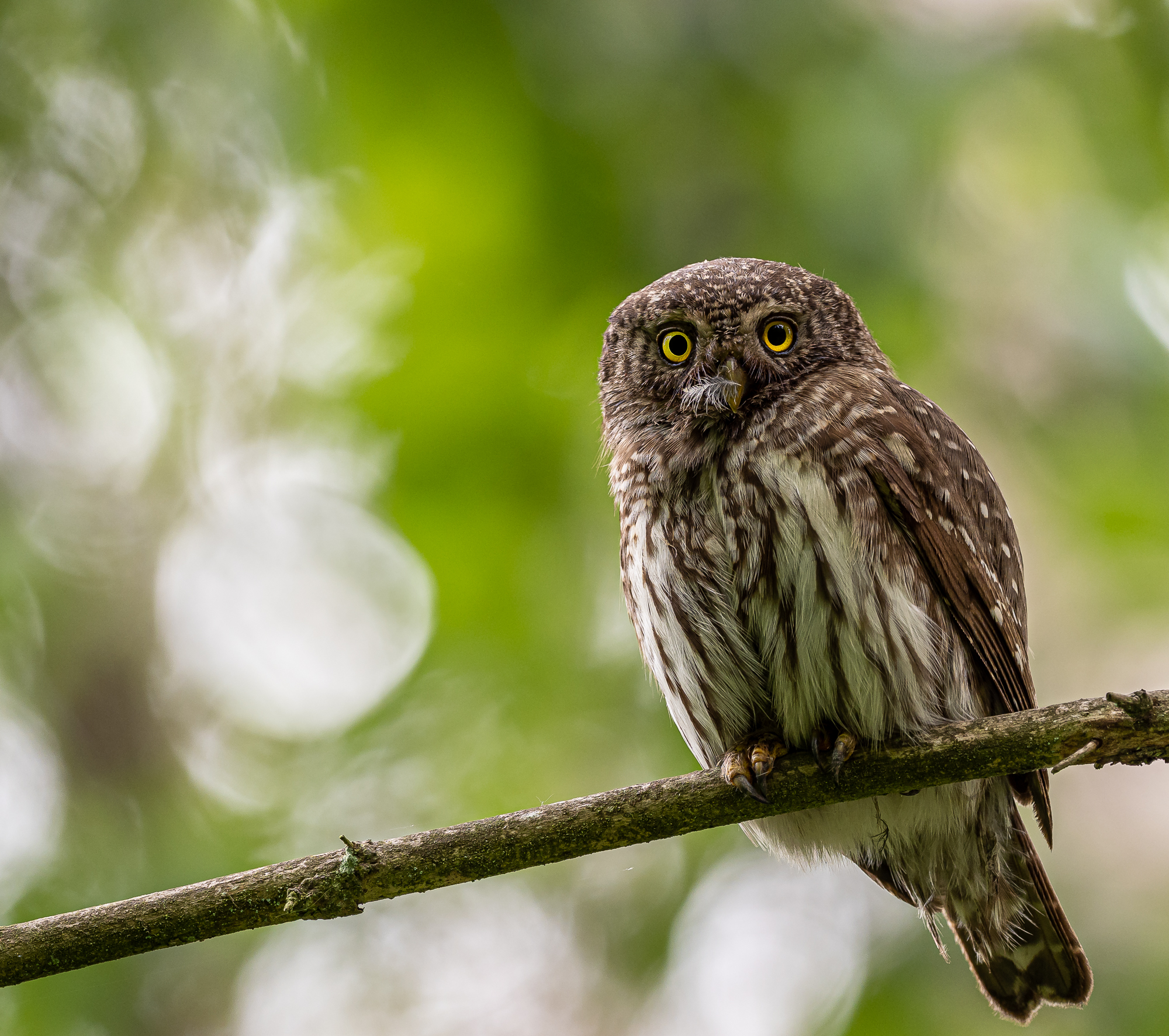 Nazwa:  1.jpg
Wyświetleń: 475
Rozmiar:  2,23 MB