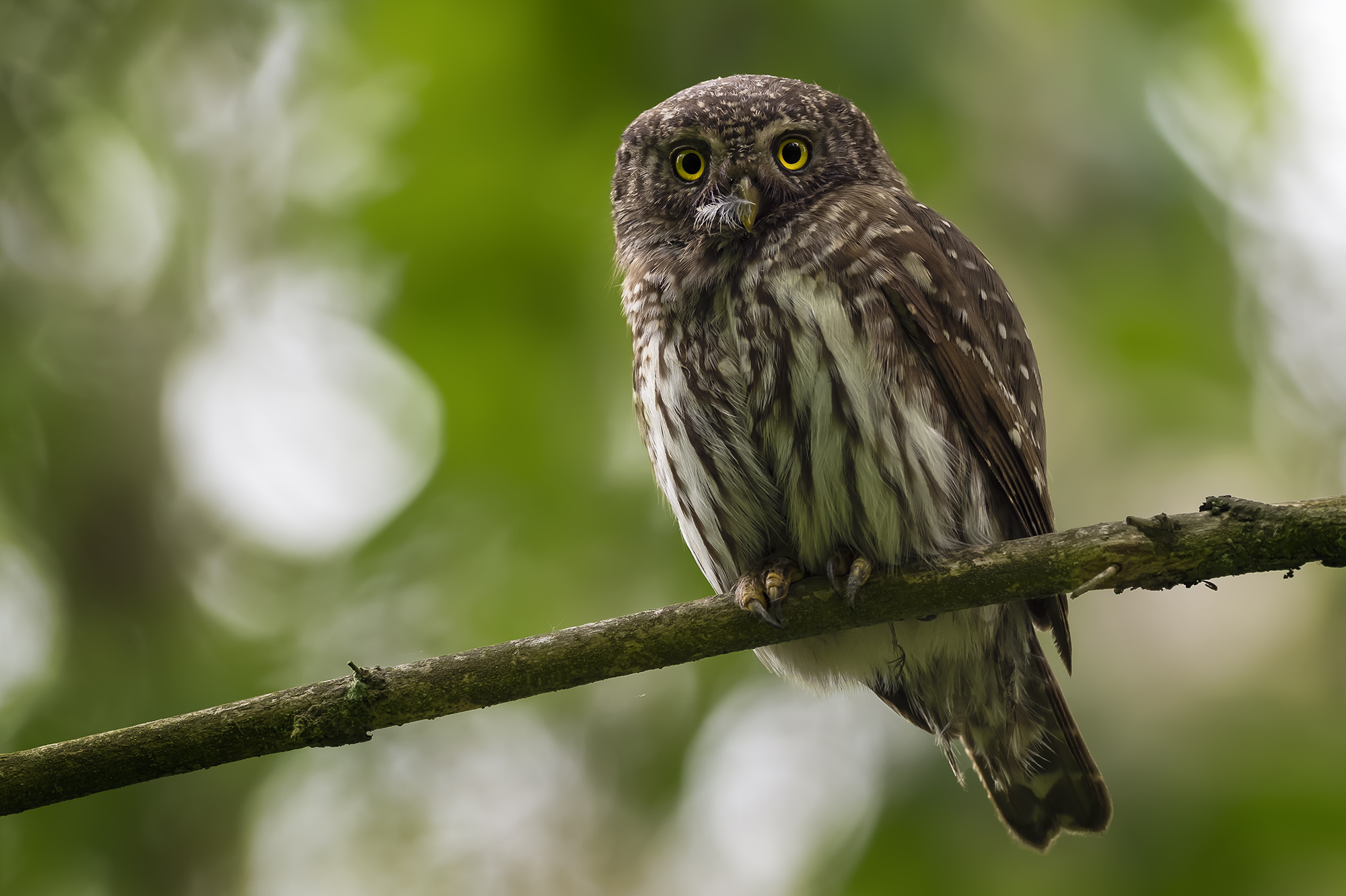 Nazwa:  3.jpg
Wyświetleń: 462
Rozmiar:  972,8 KB