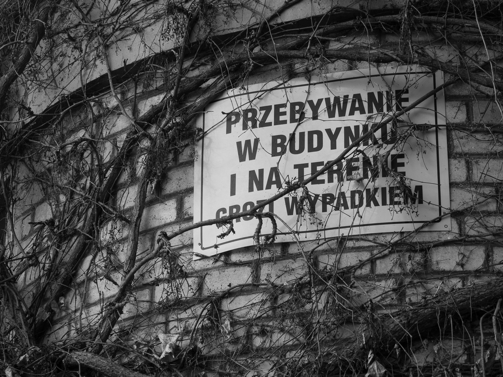 Nazwa:  c4.jpg
Wyświetleń: 93
Rozmiar:  556,4 KB